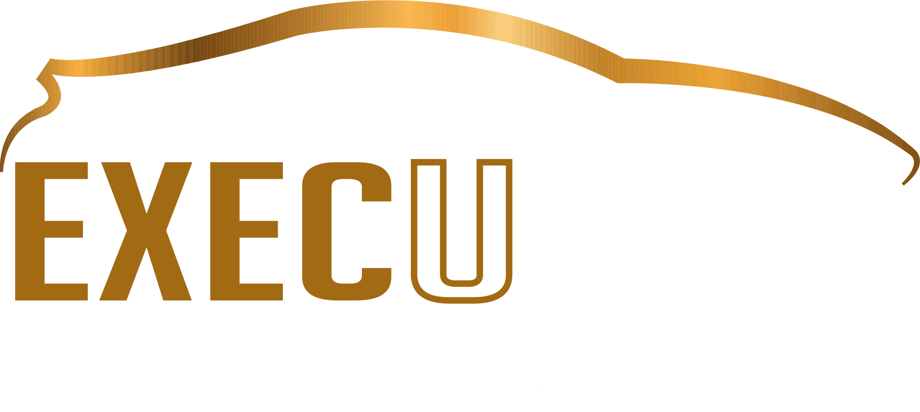 Execucarlimomiami